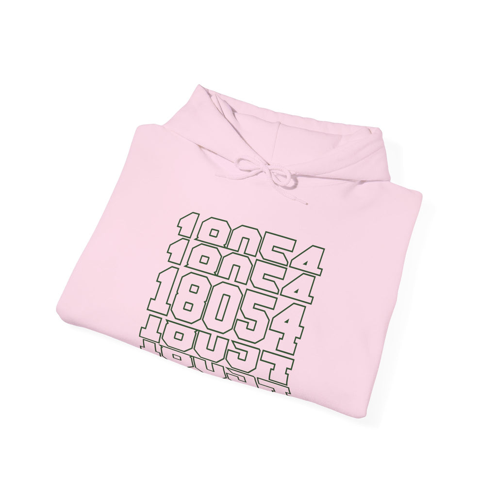 Zip Code Unisex Heavy Blend Hooded Sweatshirt $41