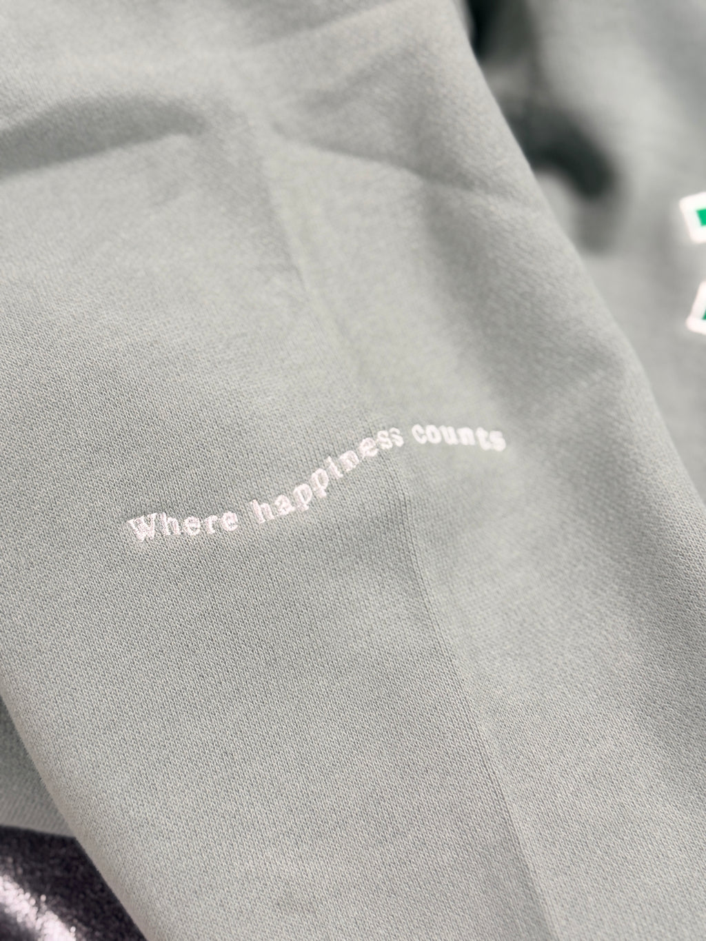 Exclusive Alumni 100 Year Reunion Hoodie