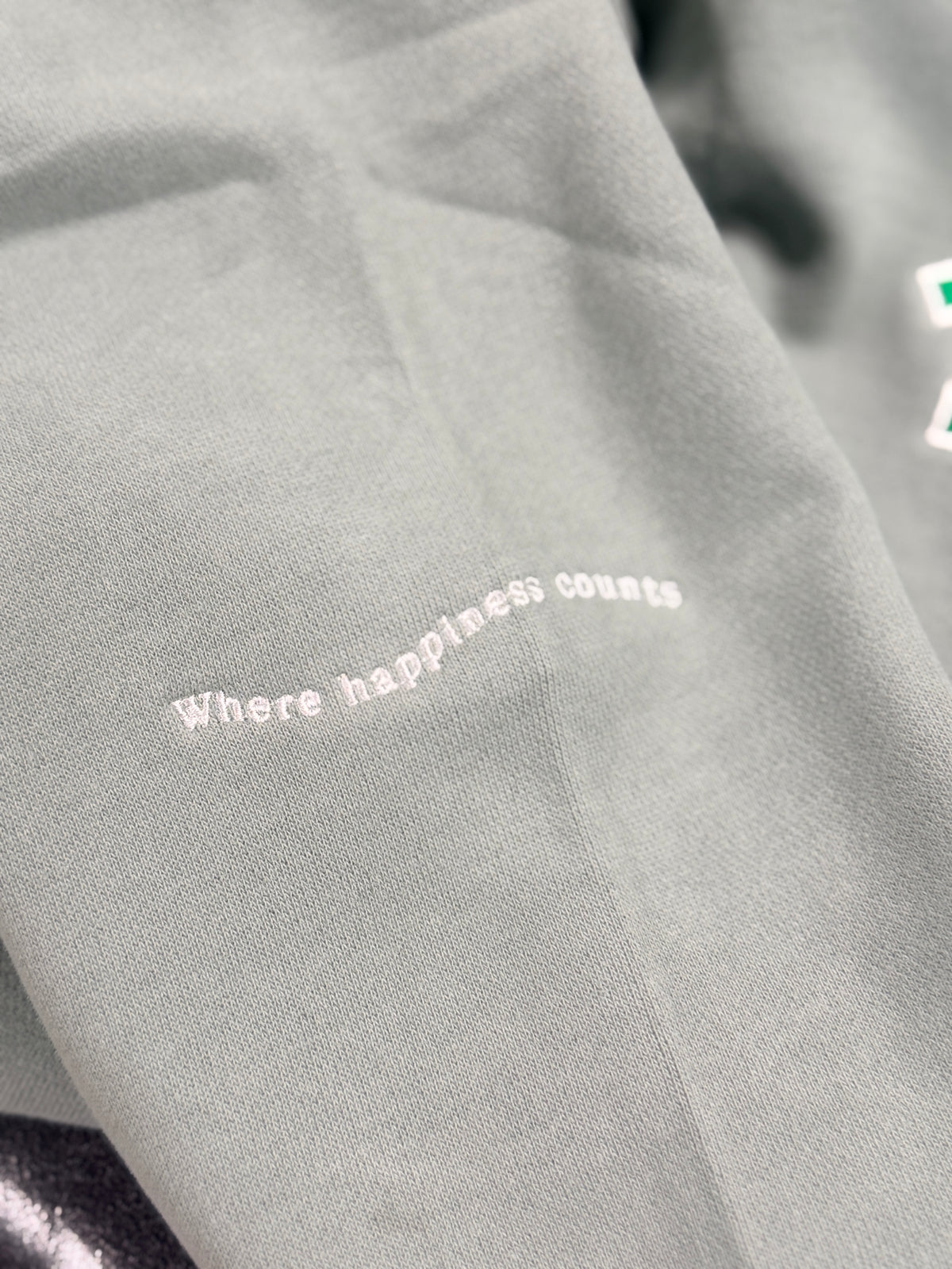 Exclusive Alumni 100 Year Reunion Hoodie
