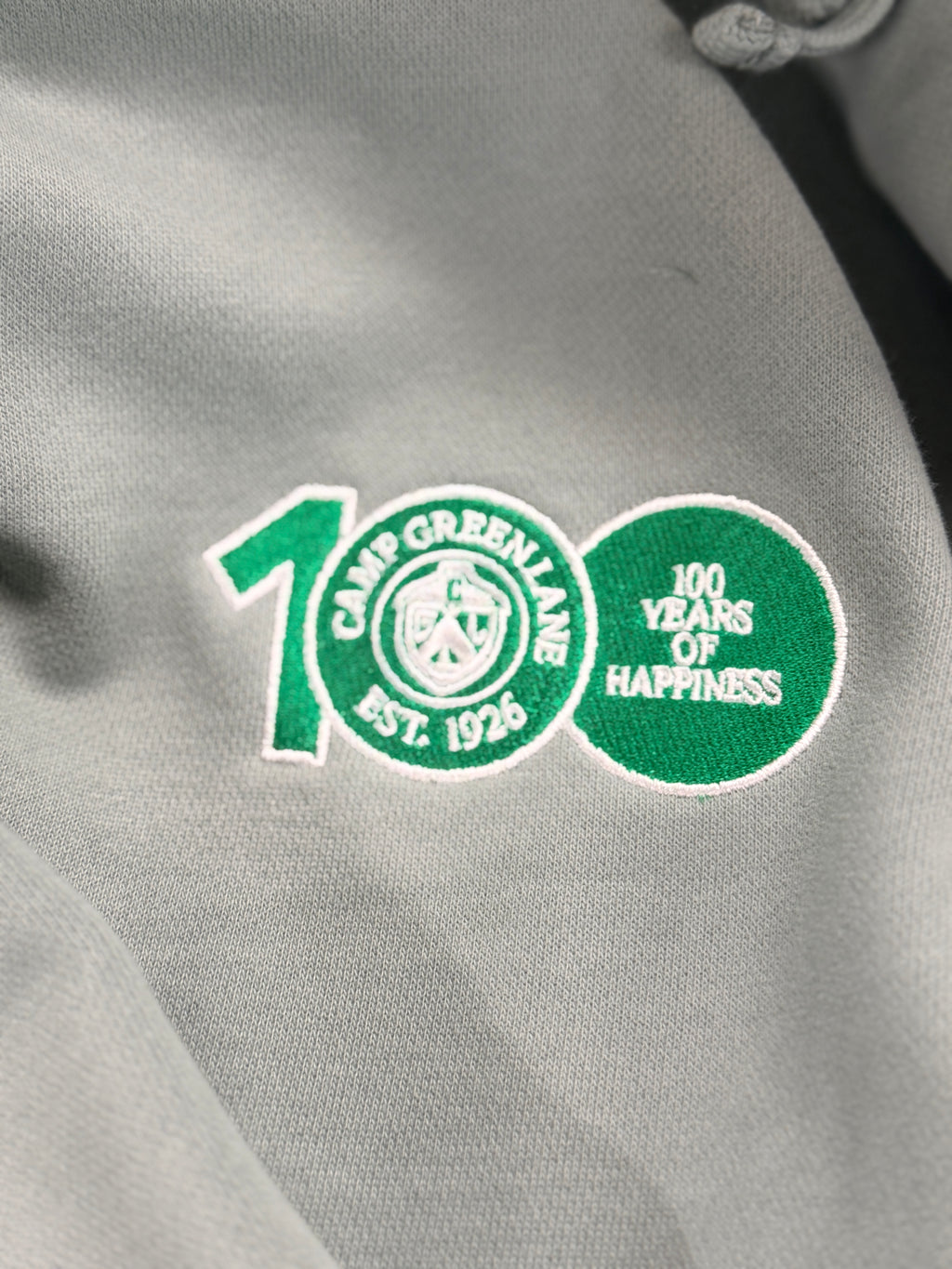 Exclusive Alumni 100 Year Reunion Hoodie