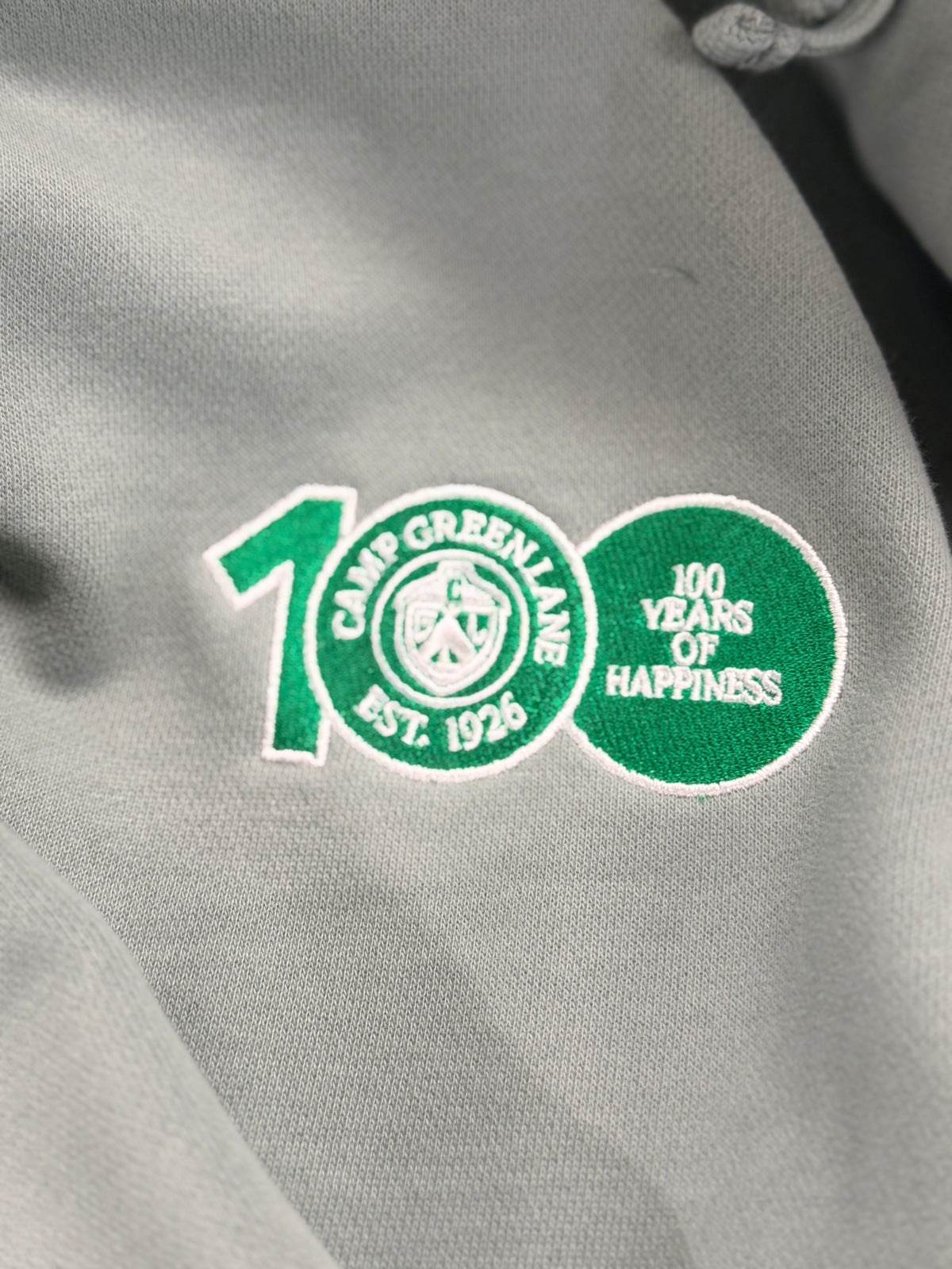 Exclusive Alumni 100 Year Reunion Hoodie
